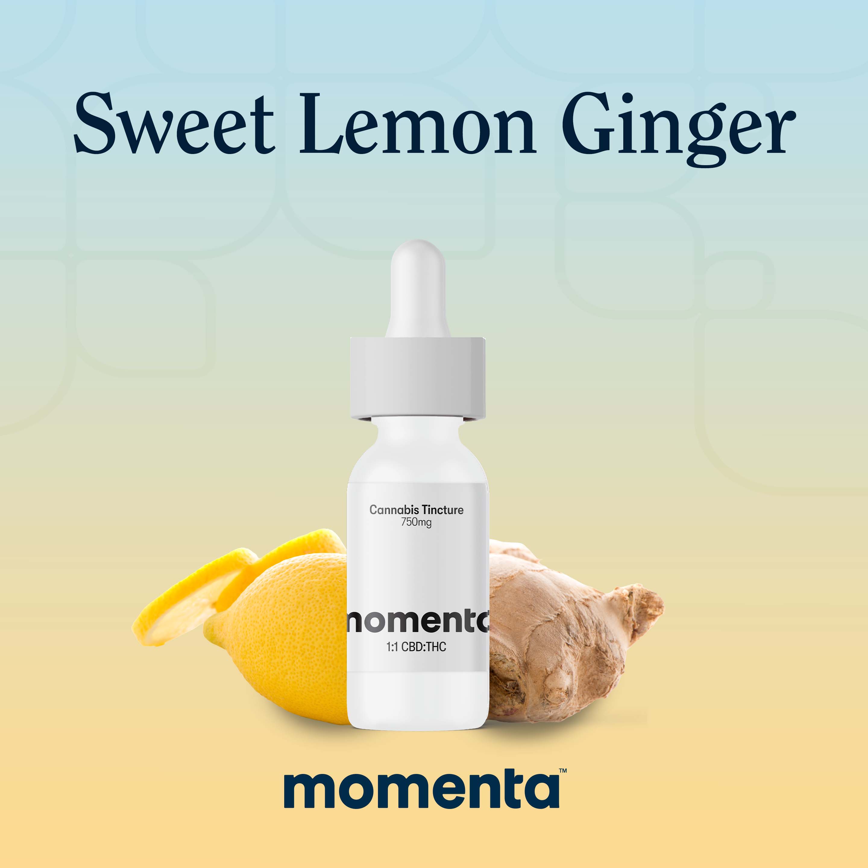 Sweet Lemon Ginger Rso Tincture
