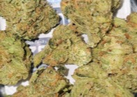 Find - Turnpike Cookies - 3.5g - H