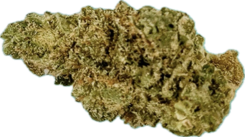 CC | Mac N Cheese | Sativa | Bulk Flower | SILVER