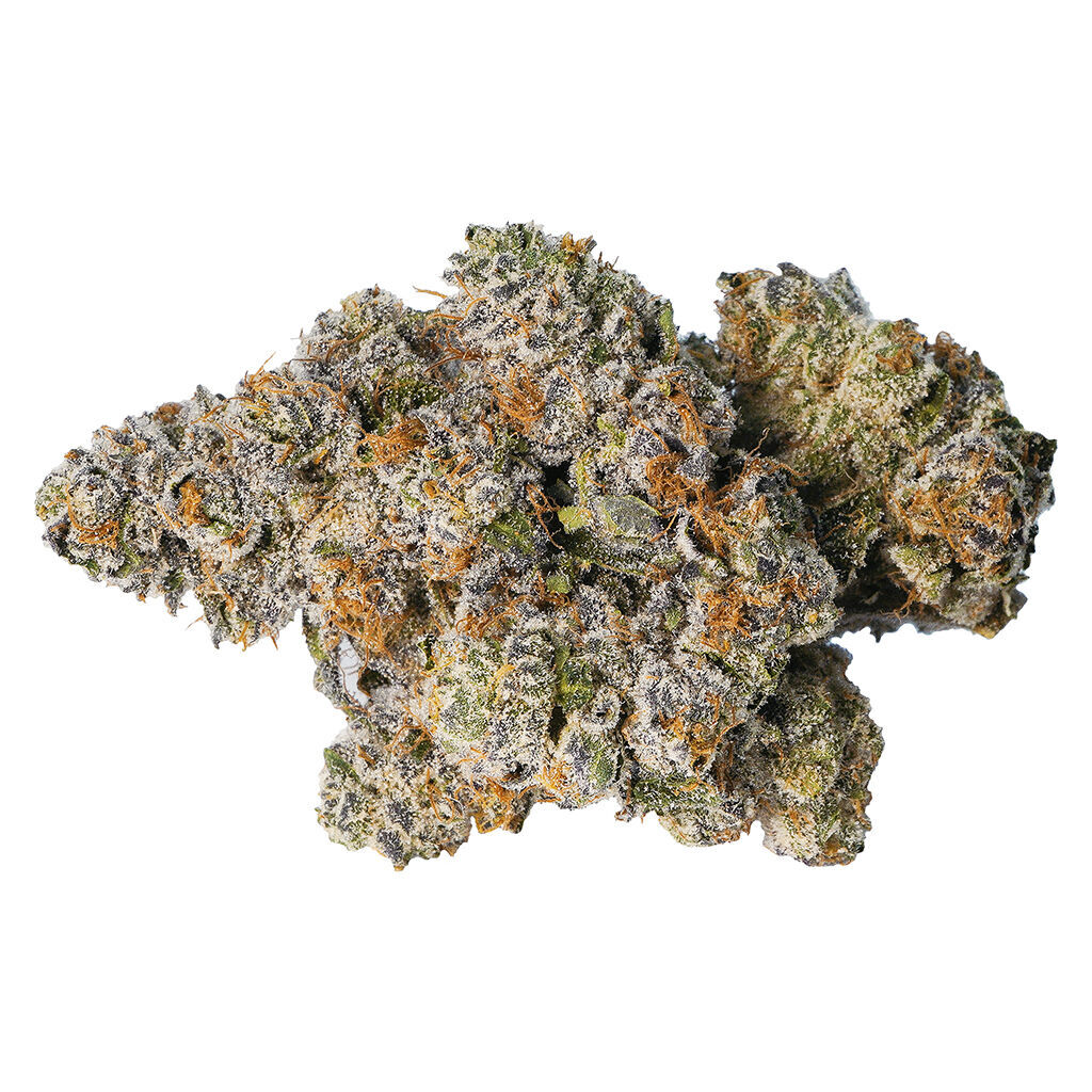 LOT420 - Gelato 33 - Indica