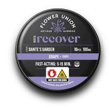 Recover | Hippie Crasher | Grape + Terps | Indica | 100Mg/10pk