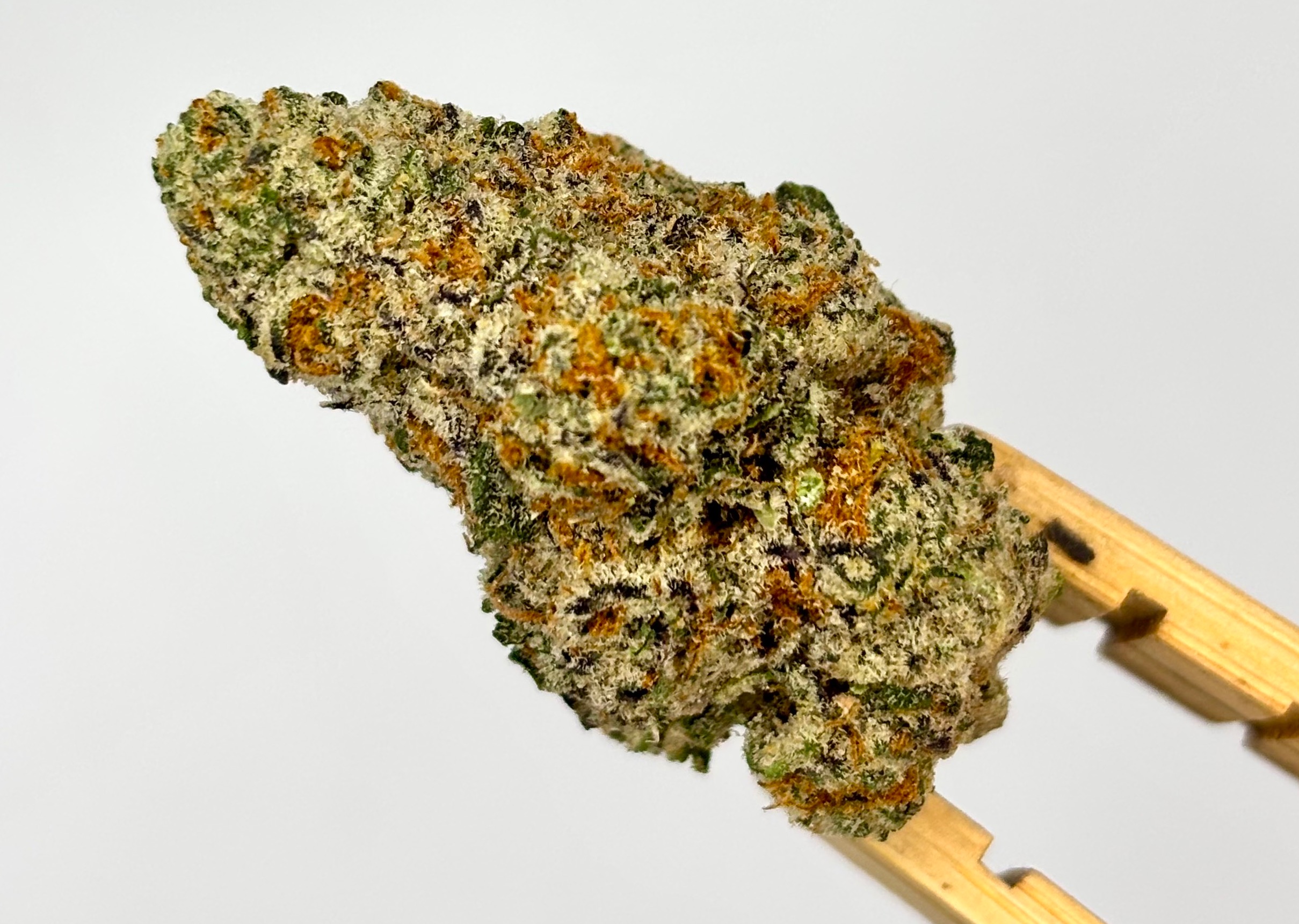 DogHouse | Red Pop | Bulk Flower | Platinum Tier