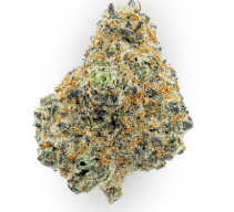 Zips | Golden Cadillac | 1oz (28g)