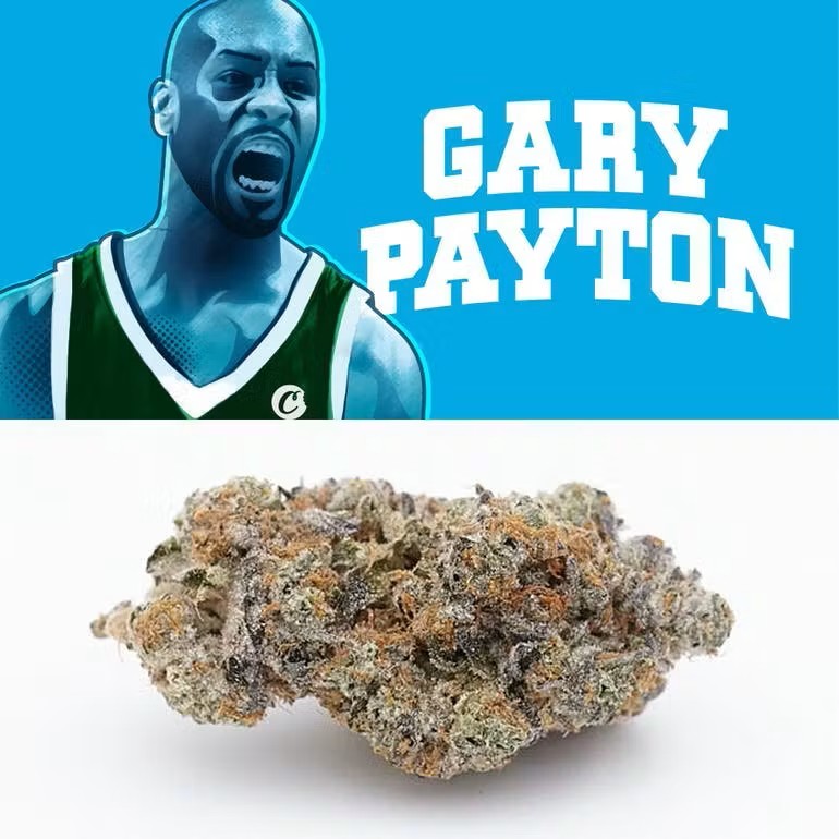 C Bite Gary Payton