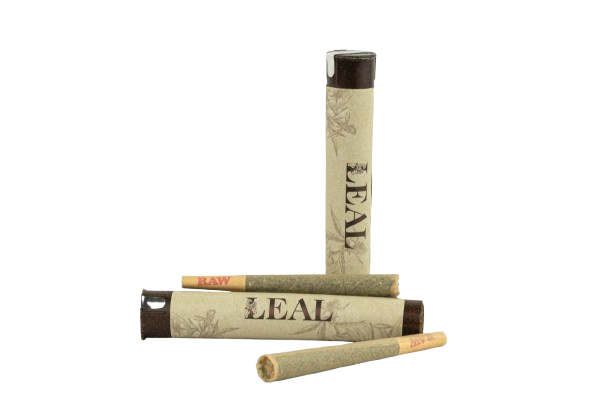 Leal | Biscotti (Indica) Pre-Roll
