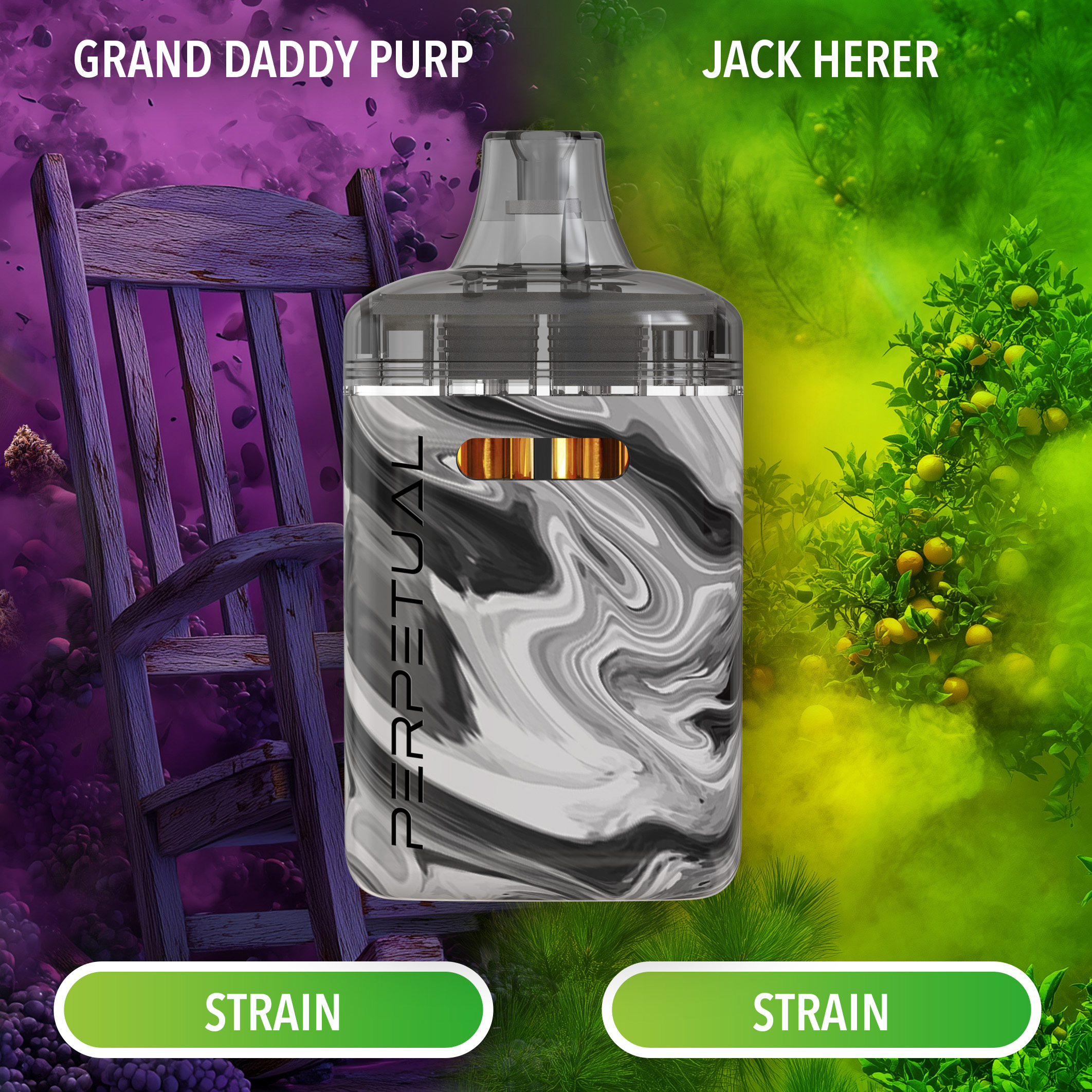 Perpetual - Jack Herer & Grand Daddy Purple Dual Chamber Disposable Vape -  2g | Local Cannabis Co. - Swampscott