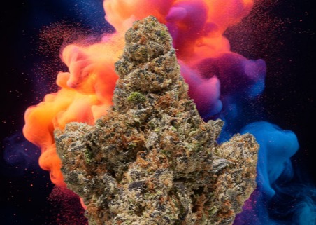 Young G.O.A.T |  3.5g | Rancid Rainbow