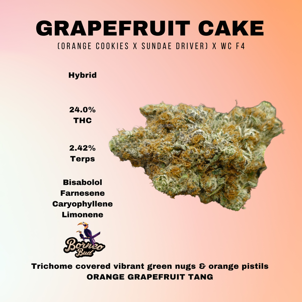 Grapefruit Cake