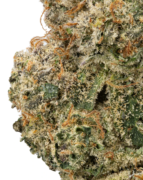 KIND TREE Grape Gummiez 5g