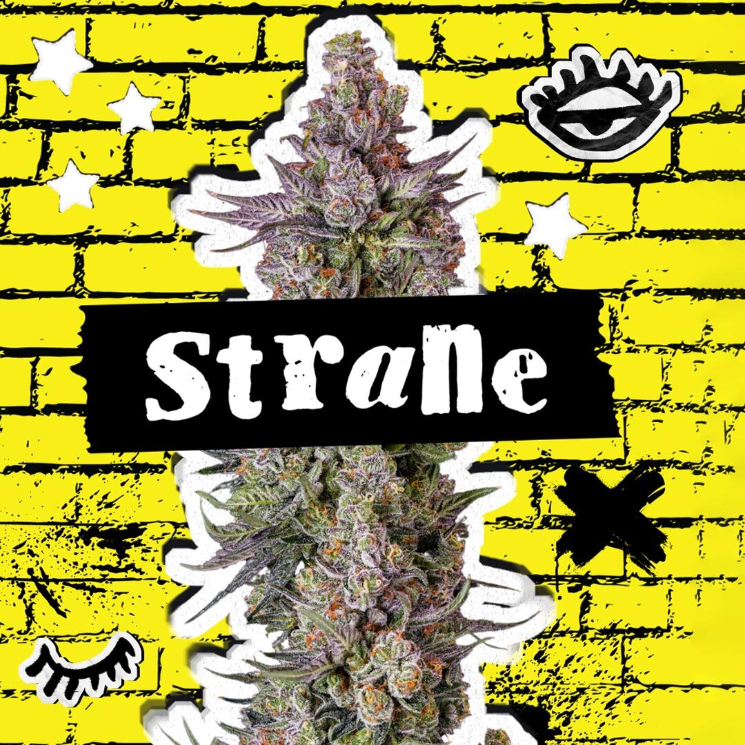Strane Atomic Grapefruit 3.5g