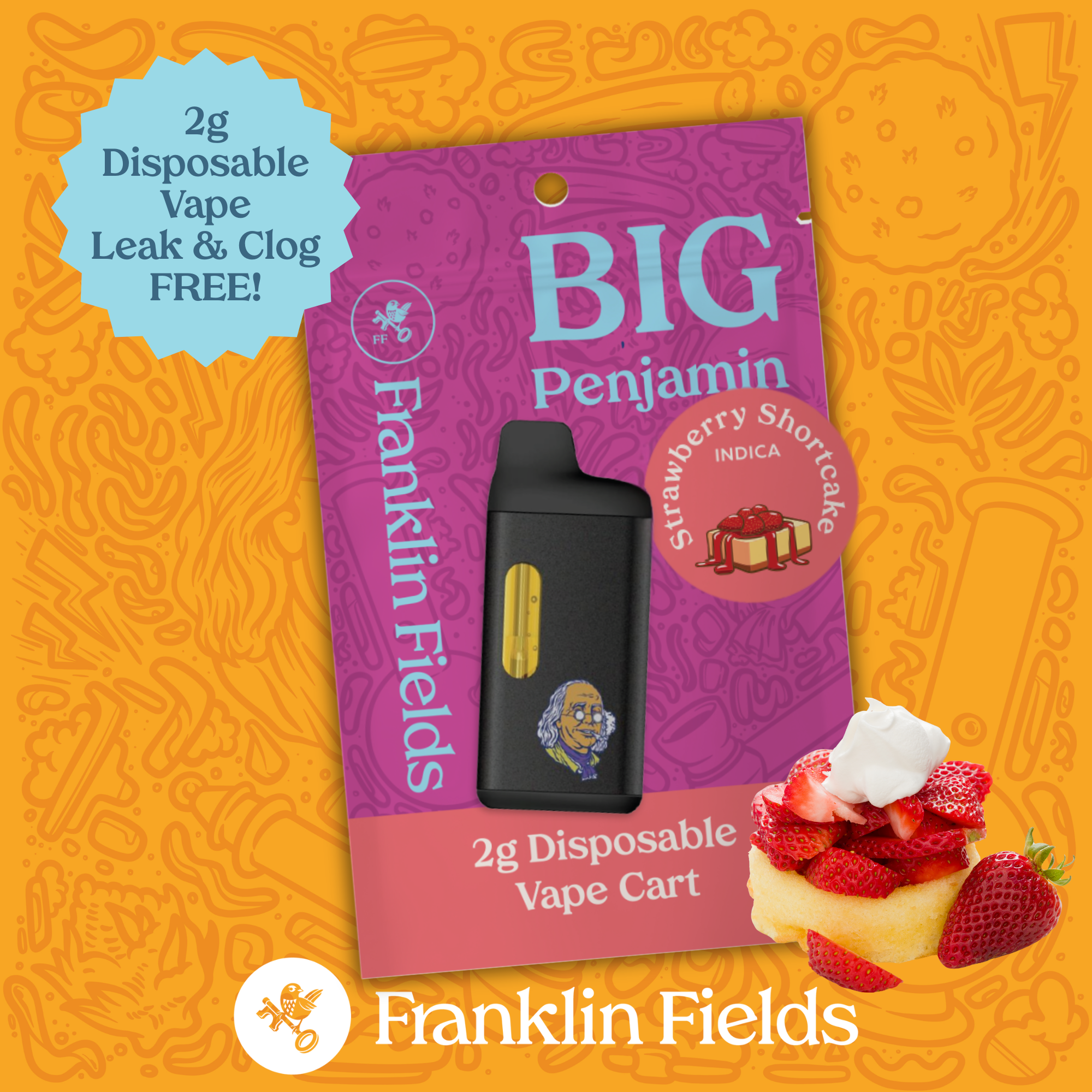 FRANKLIN FIELDS 2G DISPOSABLE | STRAWBERRY SHORTCAKE