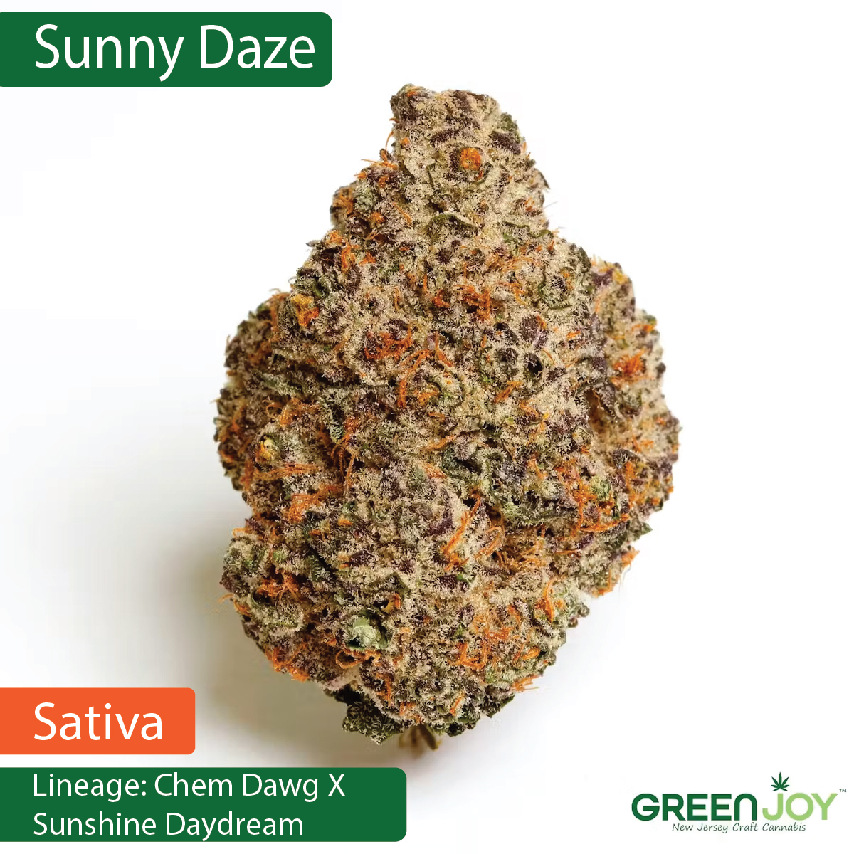 Sunny Daze | Smalls | 14G
