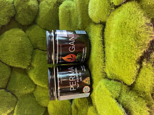 Pre Pack | "AJ" Sour Diesel | Perma Ganix