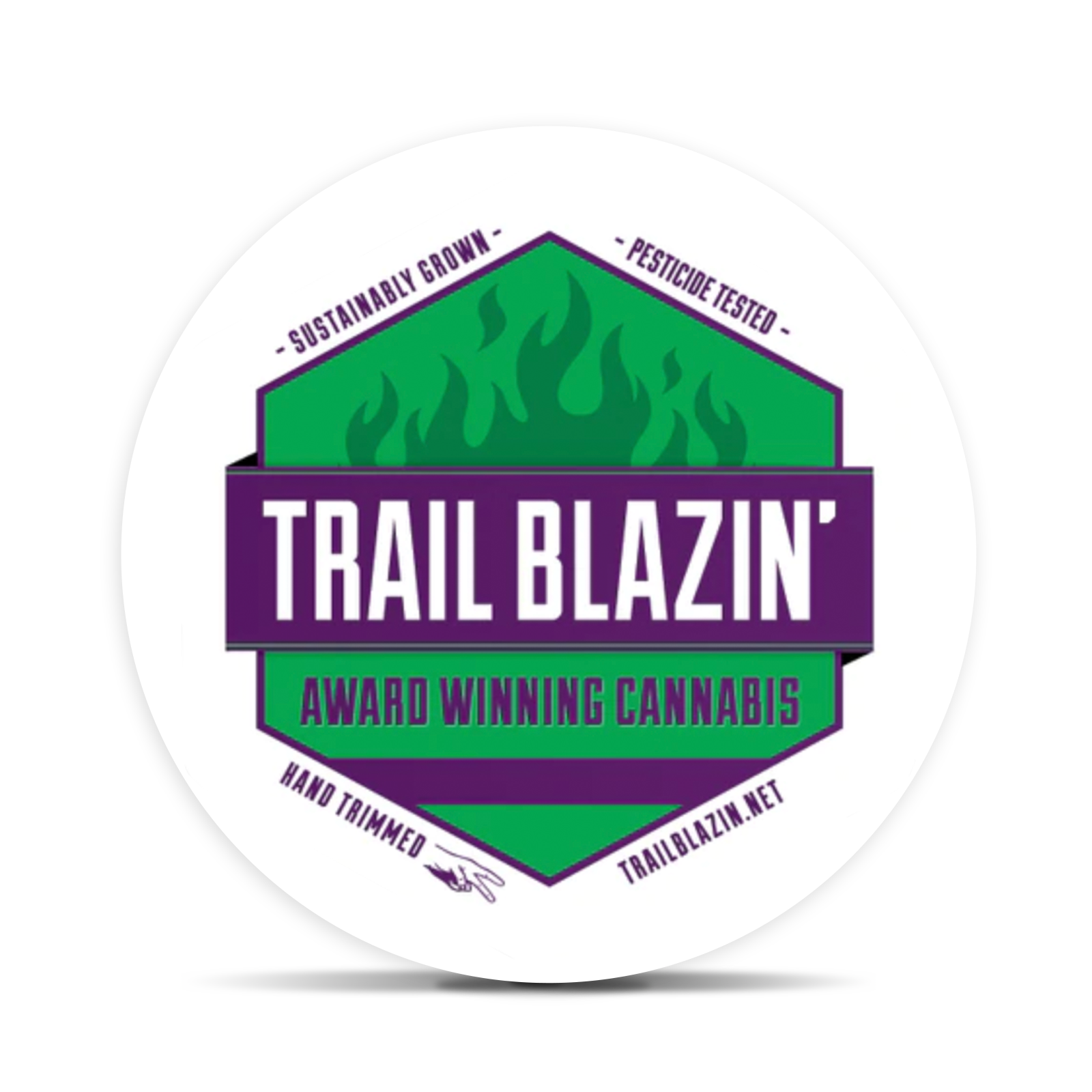 Trail Blazin'