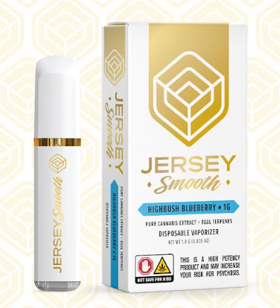 Jersey Smooth - Highbush Blueberry