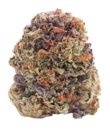 Choklit Park Mango Voltage - 7g