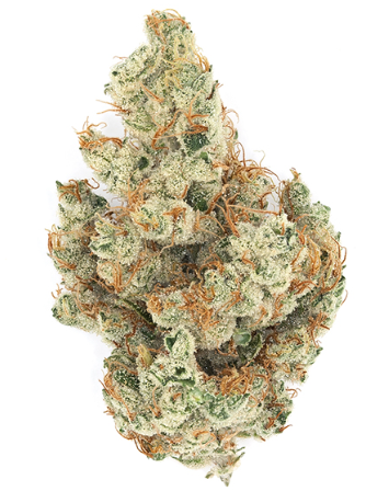 (04608) AJ Sour