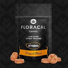 Tropical Blend Live Rosin Troches | 10mg/10pk (100mg)