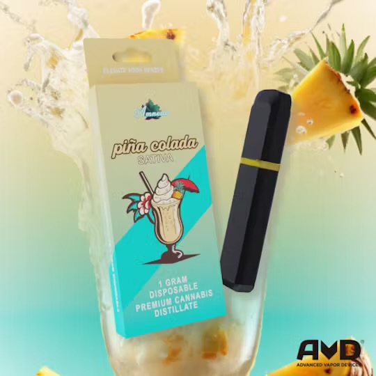 Pina Colada 1G Vape Disposable