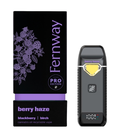 Berry Haze |  Disposable