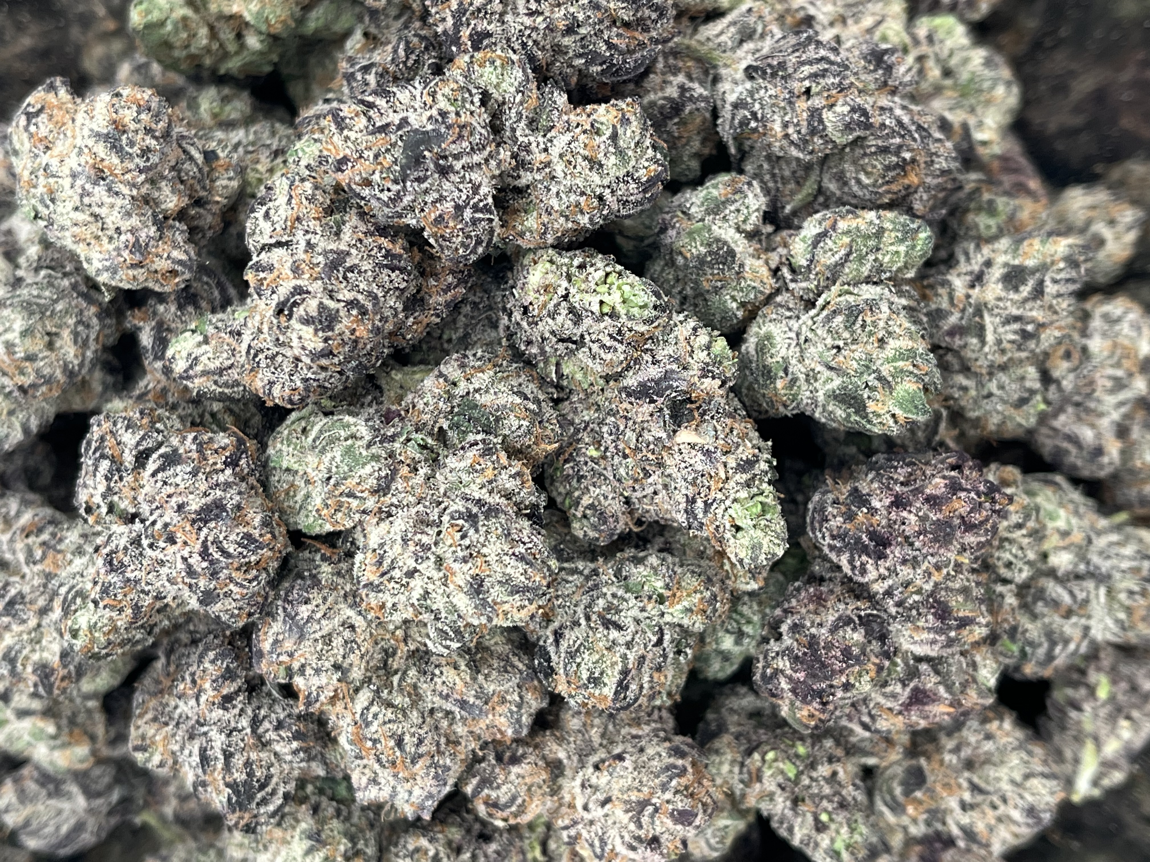 Altsol Platinum Tk Bulk Flower