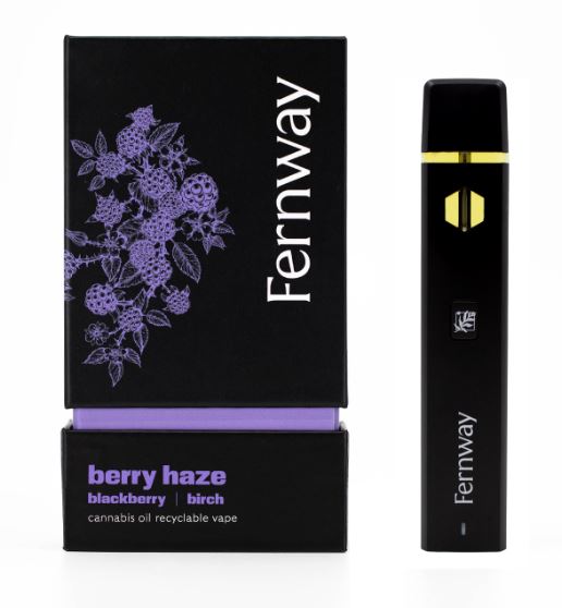 Berry Haze | Disposable