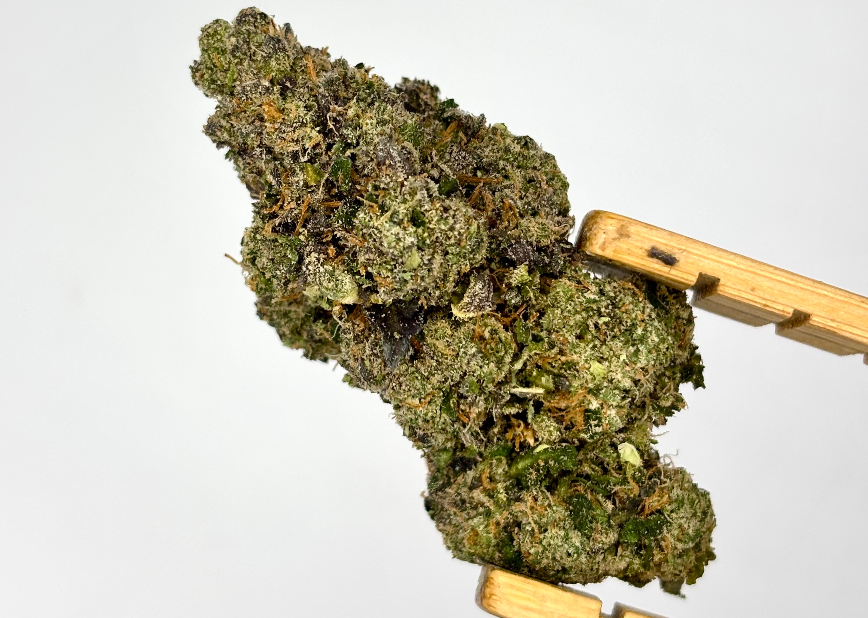 Blueberry Bang Bang Bulk Flower