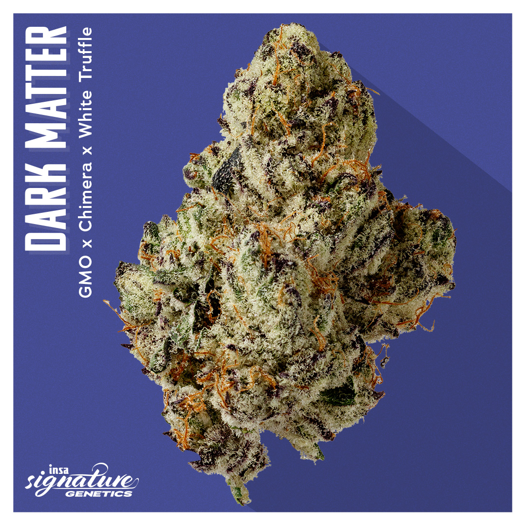 Dark Matter