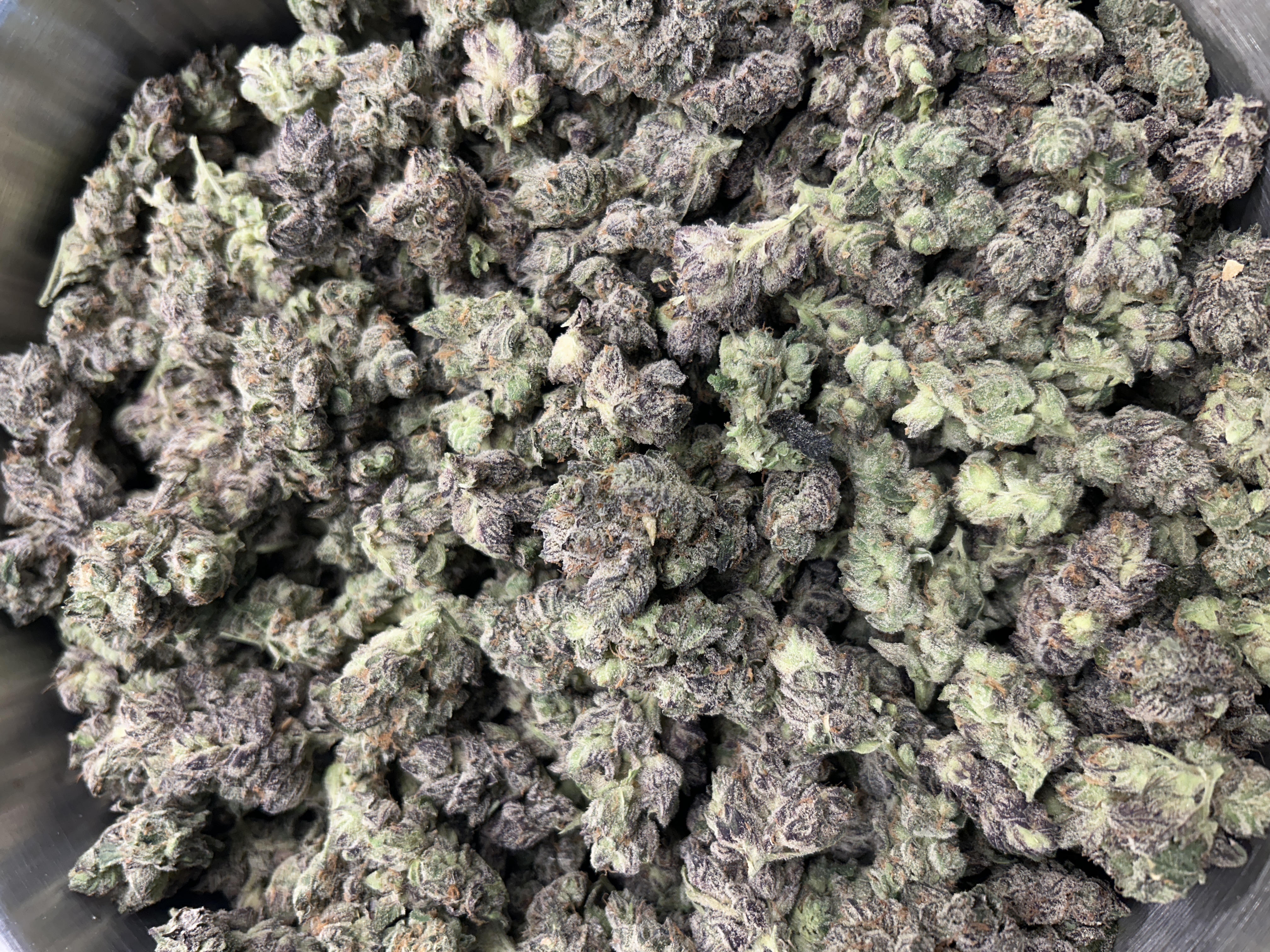 White Truffle | Buds | 1.2% Terps