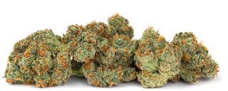 (01432) Day Stripper 3.5g