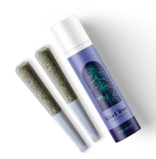 Kind Tree - White Iverson - 2 Pack Pre-roll