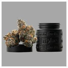 Niche Premium Buds | Ztopia | 3.