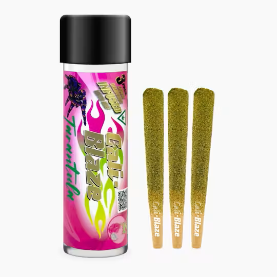 Dragonfruit Tarantula Multipack