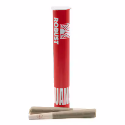 Snatch Burger | 0.5g - 2pk (1g) Prerolls