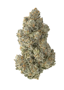 Copper Chem  5pk Infused