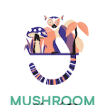 Lions Mane Dark Chocolate