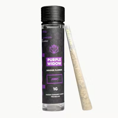 Dank - Purple Widow Preroll - 1g