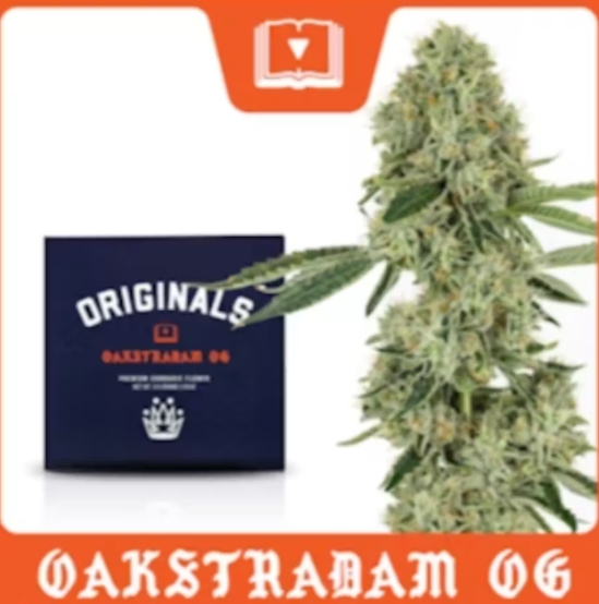 Oakstradam: Flower - 3.5g in Millbury