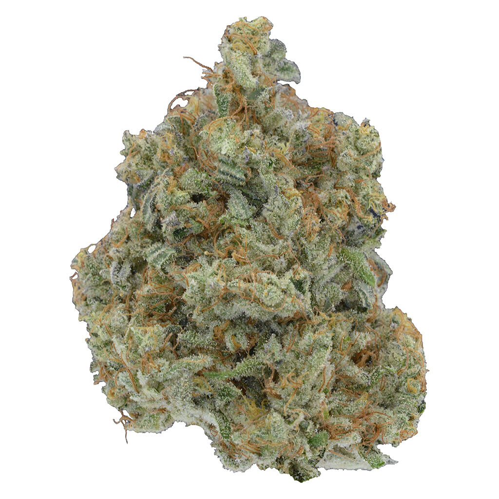 Be Humble - Omakase - Kush Mints - 7g