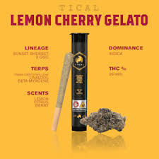 TICAL - Lemon Cherry Gelato - 1g - Preroll