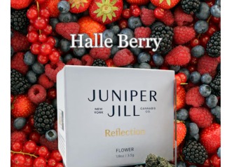 Juniper Jill | Halle Berry | Sativa | Flower