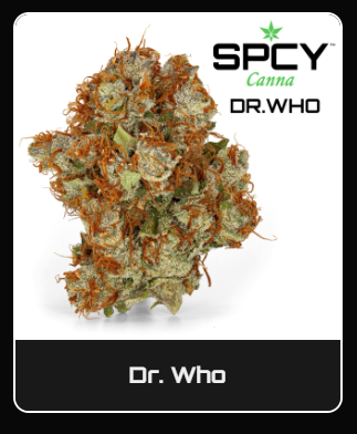 Premium (Flower) | Dr. Who