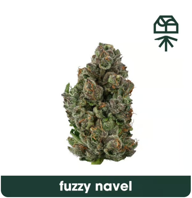 Grassroots Fuzzy Navel