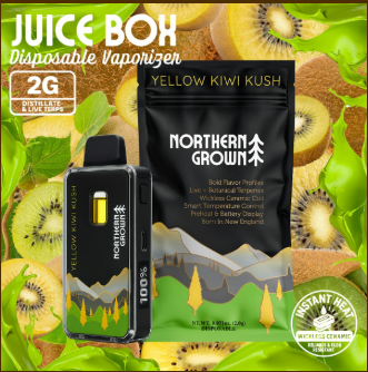 Yellow Kiwi Kush | Juice Box 2G Dispo