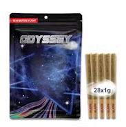 Odyssey - Z Lato - 28 x Preroll Pack