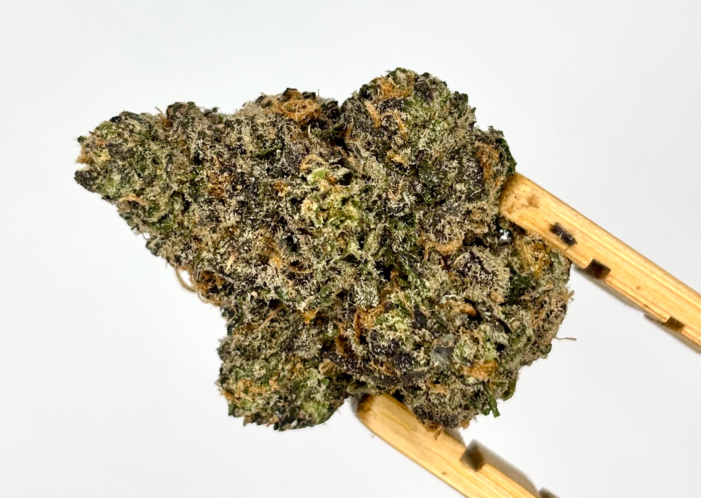 DogHouse | Candy Cartel | Bulk Flower | Platinum Tier