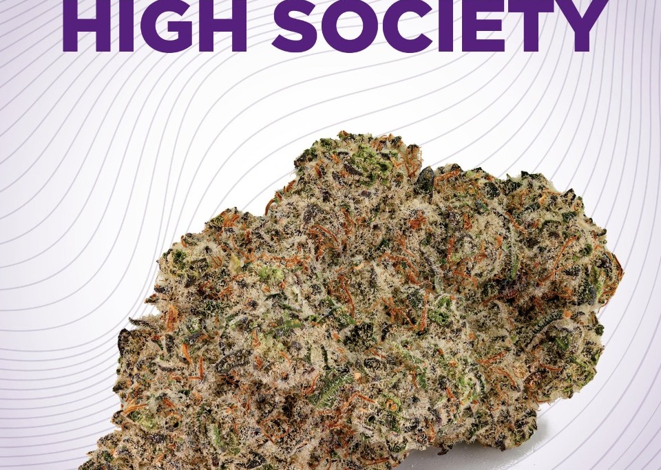 High Society