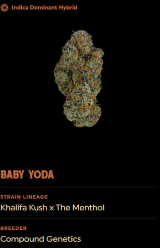 Baby Yoda | 3.5g