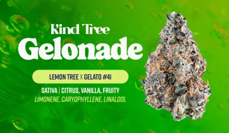 KIND TREE Gelonade 3.5g
