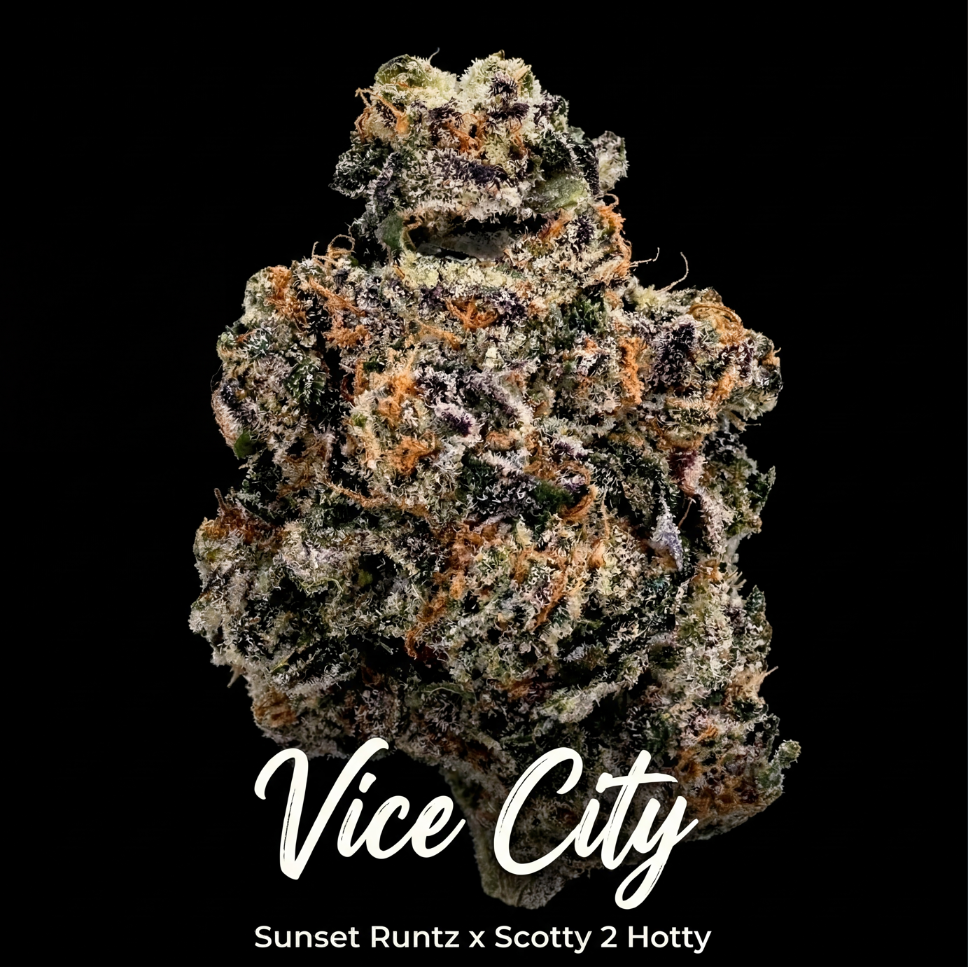 Vice City THC 27.03%